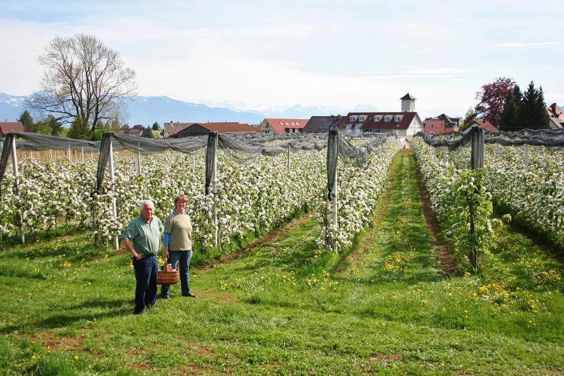 Ferienhof Schoengarten ลินเดา ภายนอก รูปภาพ